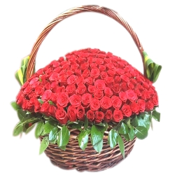 100 Fresh Red Roses in a Special Basket